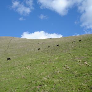 DSC00633