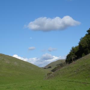 DSC00641