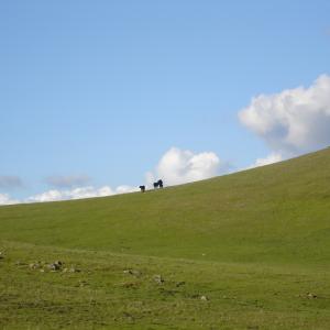 DSC00642
