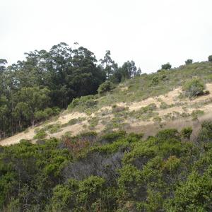 DSC03219