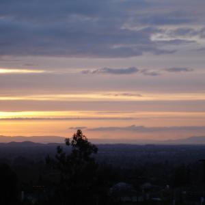 DSC00767