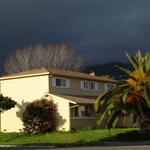 DSC00783