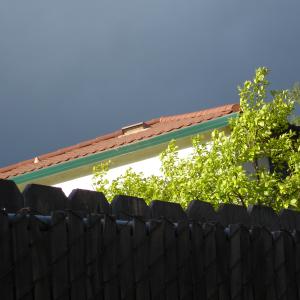 DSC00785