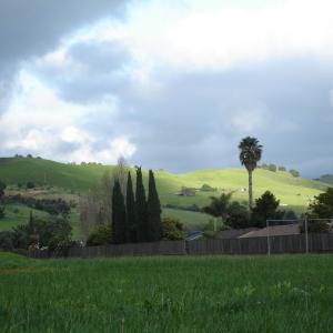 DSC00797