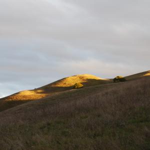 DSC 0040