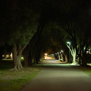 DSC 0061