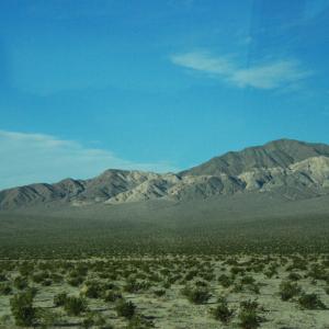 DSC 0071