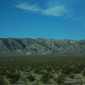 DSC 0074