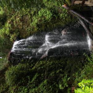 P4140636