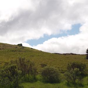 P4220779