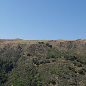 P4291328