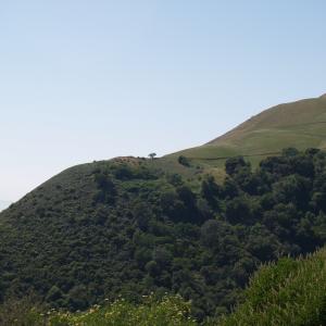 P4291340