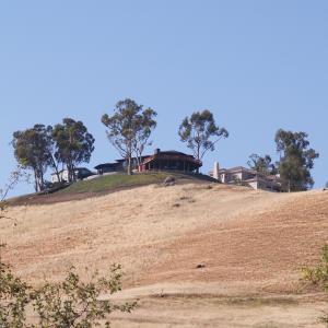 P4291390