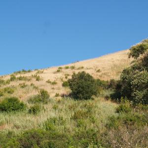 P6171524
