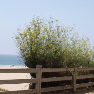 P7161757