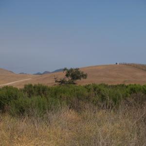 P7161766