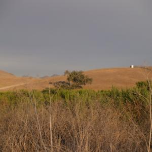 P7161780