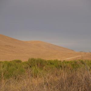 P7161781