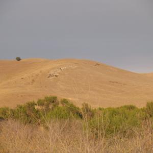 P7161782