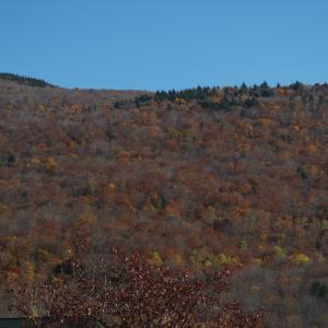PA222420