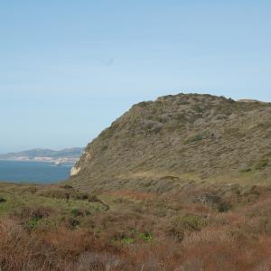 DSC 1072