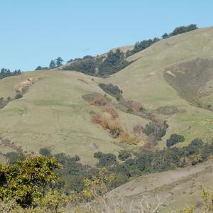 DSC 1411