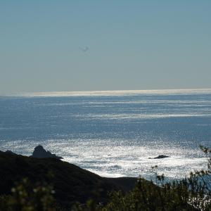 DSC 1439
