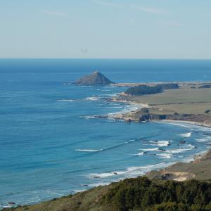 DSC 1521