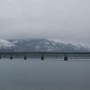 DSC 2429