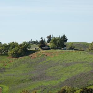DSC 2921