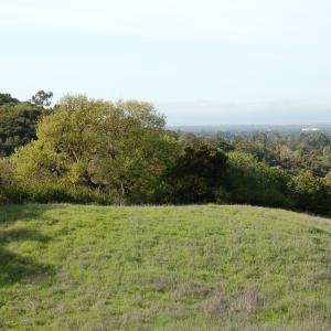 DSC 2935