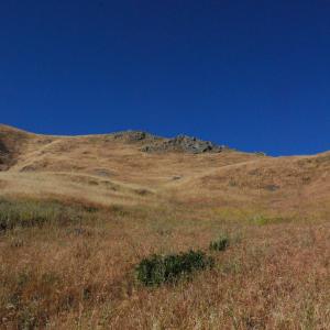 DSC 0105