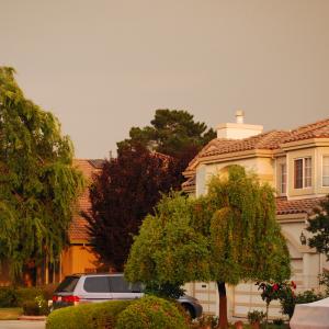 DSC 0053