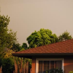 DSC 0054