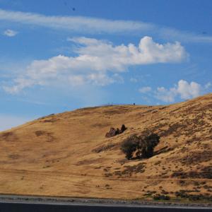 DSC 0184
