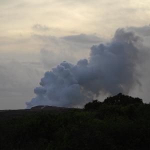 DSC 0011