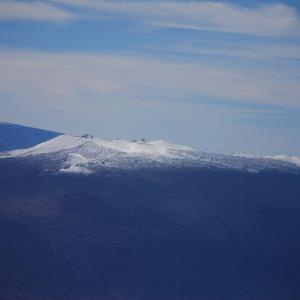 DSC 0102