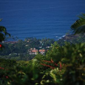 DSC 0186