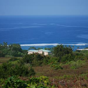 DSC 0193