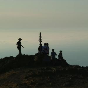 SDIM0242m