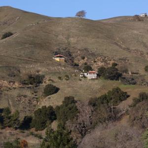 IMG 0246