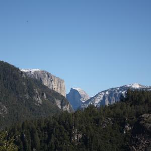 IMG 0442