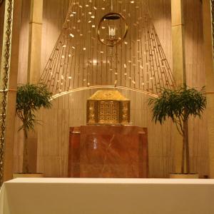 IMG 0646