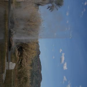 IMG 0944