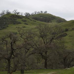 IMG 0967