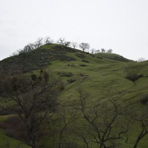 IMG 0984