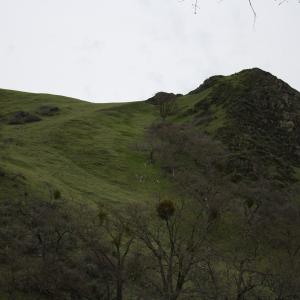 IMG 0986
