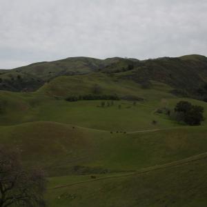 IMG 0987