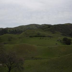 IMG 0990