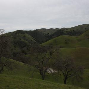 IMG 0991